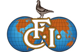 Fci Animal Example Actual information | pigeonsfci