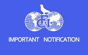 Fci Animal Example Actual information | pigeonsfci